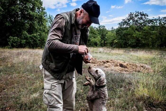 Truffle Discovery: A Gourmet Adventure in Macedonia’s Mountains